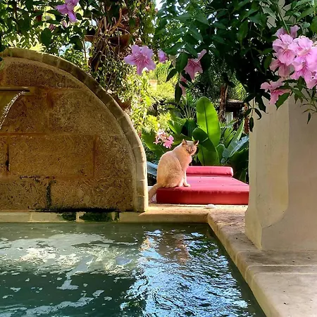 Muelacuta Mini Piscina A 850 Mt Sabbia By Apulia ガリポリ