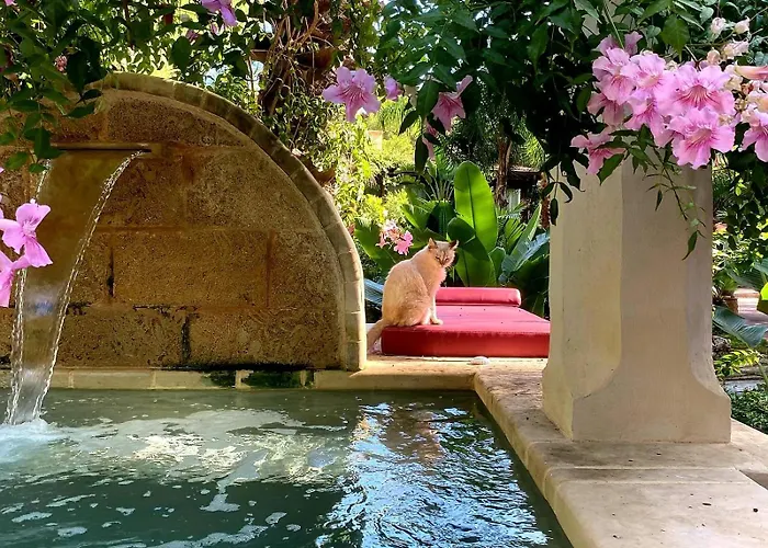 Muelacuta Mini Piscina A 850 Mt Sabbia By Apulia Gallipolli